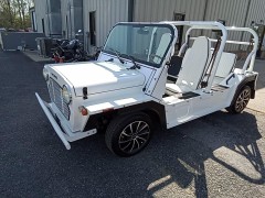 BUY MOTE CRUISER 2023 BUGGY, Paducah Auto Auction